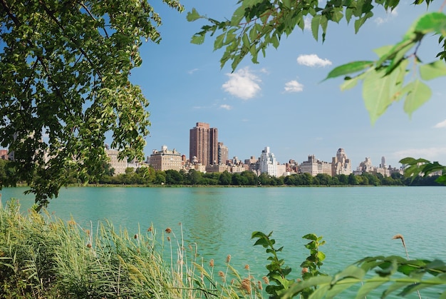 Central Park lake trees