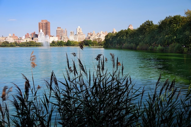 Free photo central park skyline new york city