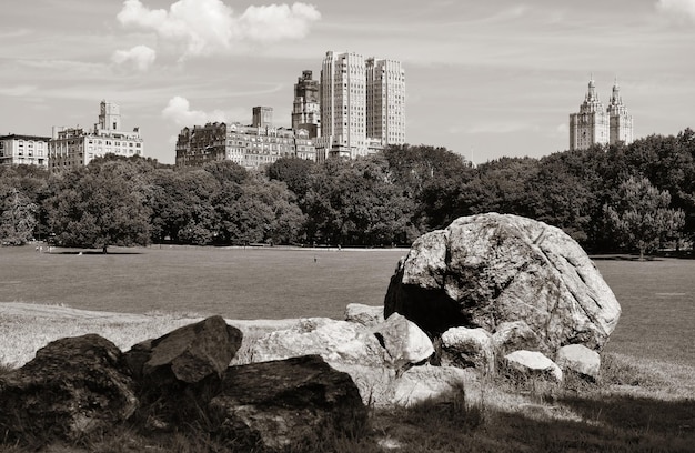 Free Photo central park spring with skyline in midtown manhattan new york city