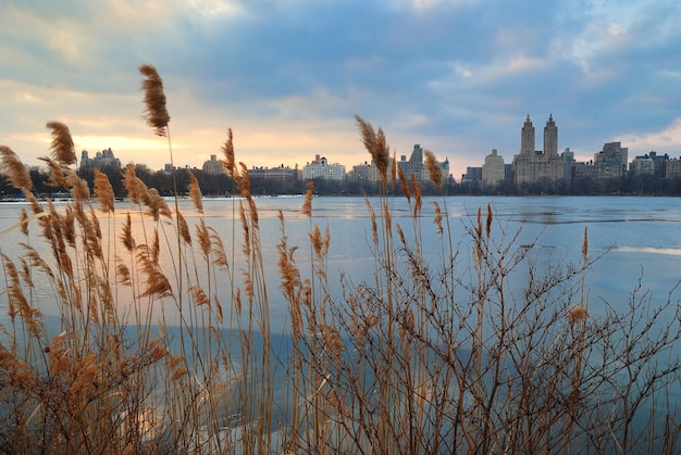 Central Park Sunset New York City