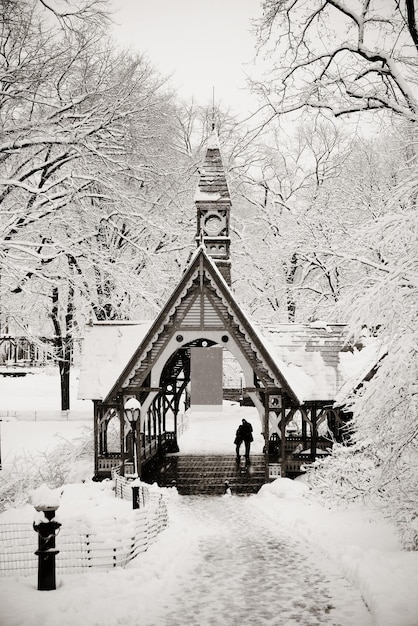 Free photo central park winter in midtown manhattan new york city