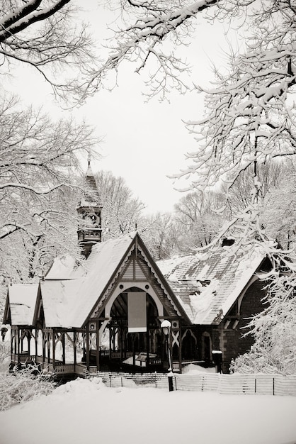 Free Photo central park winter in midtown manhattan new york city