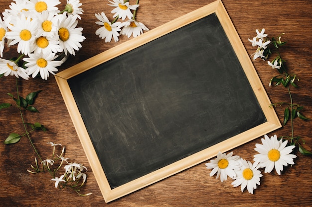 Chalkboard near fresh daisy flowers