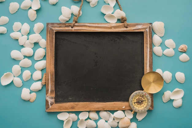 Free photo chalkboard and white seashells