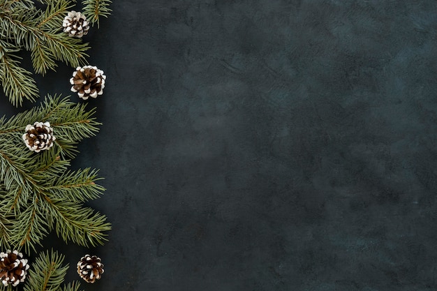 Chalkboard with pine needles and cones