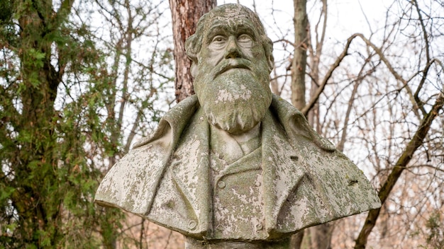 Free photo charles darwin bust in a park in bucharest romania