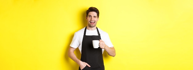 Free photo cheerful barista in black apron serving coffee and winking standing against yellow background