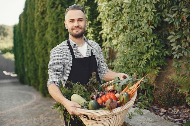 Cheerful farmer with organic vegetables in garden. Mixed organic vegetable in wicker basket.