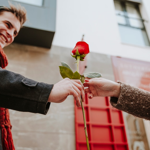 Free Photo cheerful man giving rose to unrecognizable woman