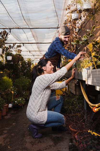 Cheerful people taking care of plants