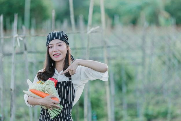 Chef harvesting fresh produce off organic farm