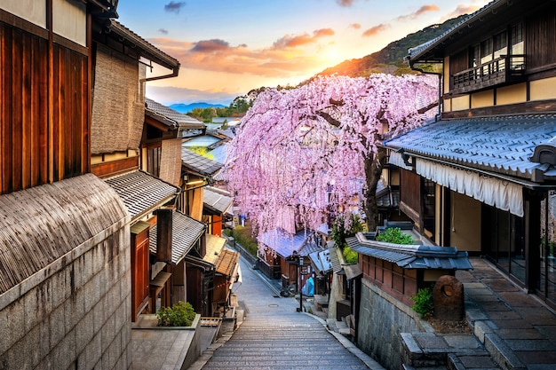 Cherry blossom in springtime at the historic Higashiyama district, Kyoto in Japan.