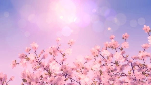 Cherry blossom tree