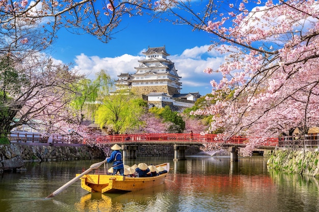 Cherry blossoms and castle in Himeji, Japan.