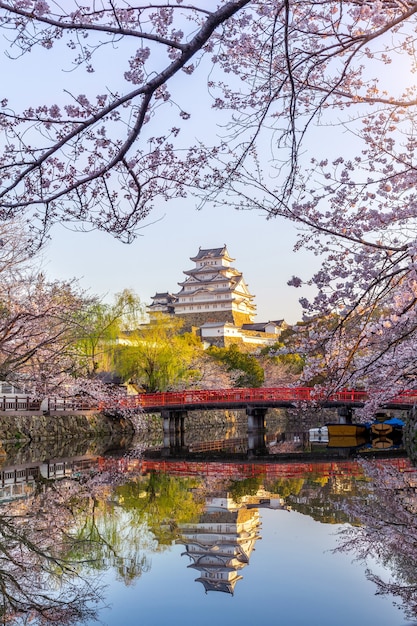 Free Photo cherry blossoms and castle in himeji, japan.