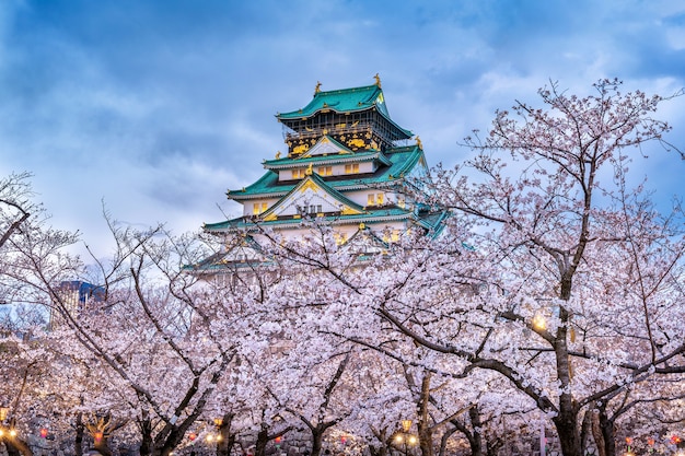 Cherry blossoms and castle in Osaka, Japan.