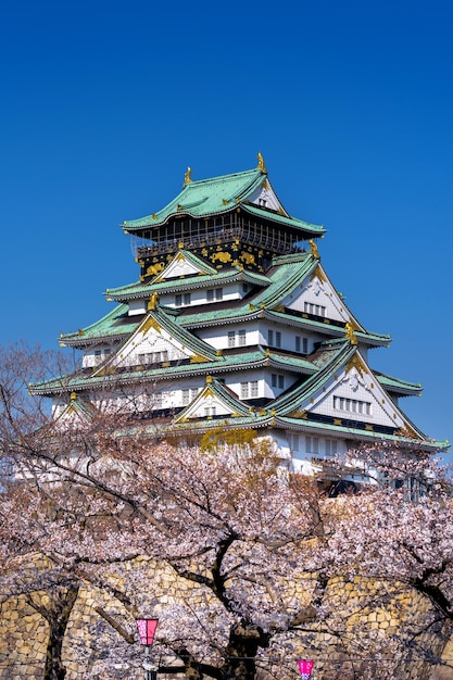 Cherry blossoms and castle in Osaka, Japan.