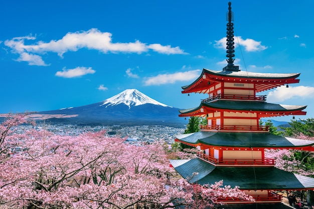 Cherry blossoms in spring, Chureito pagoda and Fuji mountain in Japan.