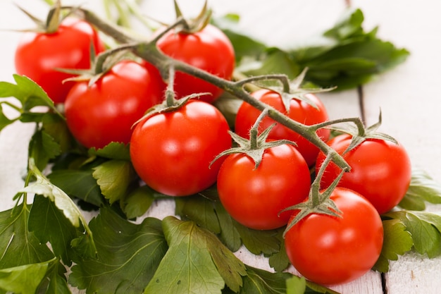 Cherry tomatoes on a branch with parsley