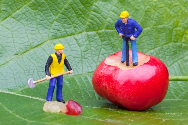 Free photo cherry and workers figurine on a leaf