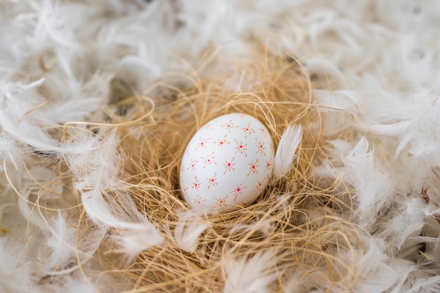 Free photo chicken egg on hay between heap of quills