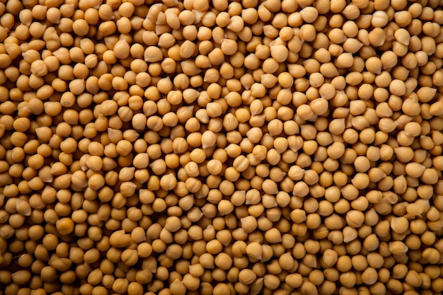 Free photo chickpea beans background texture