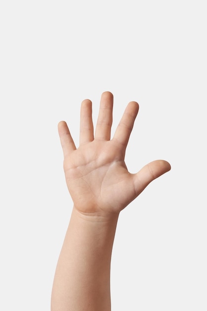 Child hand counting on fingers five