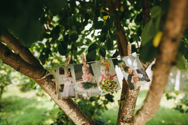 Free photo child pictures on a tree