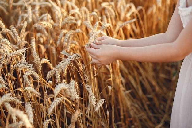 Child in a summer wheat field. Little girl in a cute white dress.