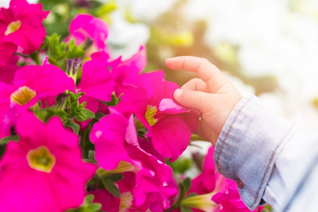 Free photo child touching pink flower petals