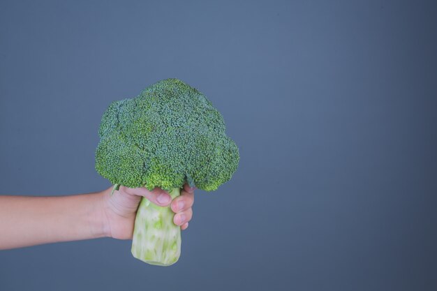 Children holding vegetables on a gray background.