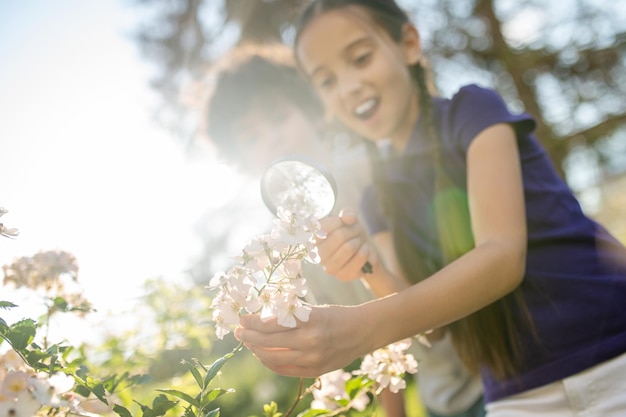 Children investigating a cluster of flowers with a magnifying glass