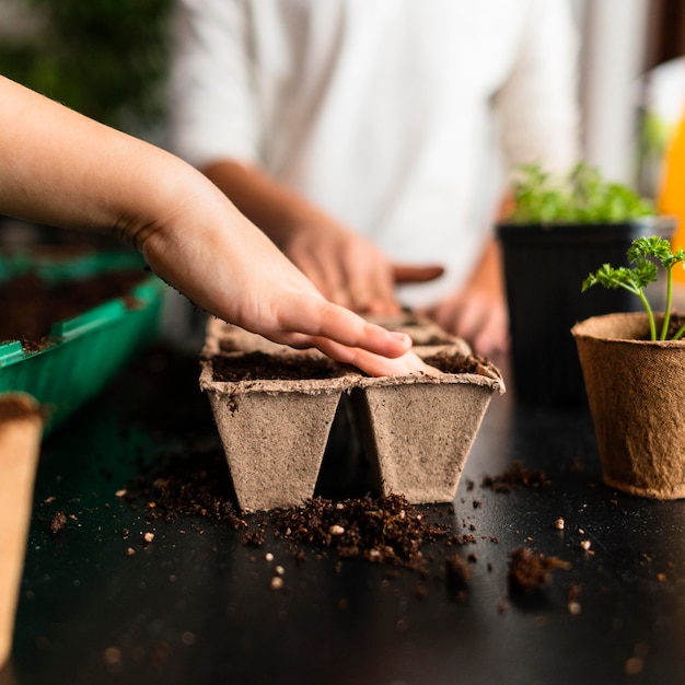 Free photo children planting crops at home