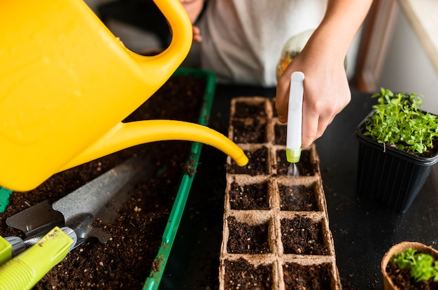 Free photo children watering crops at home