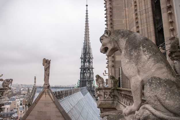 Free photo chimera of the cathedral notre dame de paris