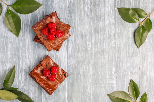 Free photo chocolate brownie cake dessert slices with raspberries and spices, top view