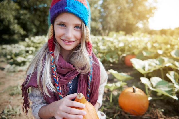 Choosing the perfect pumpkin for Halloween