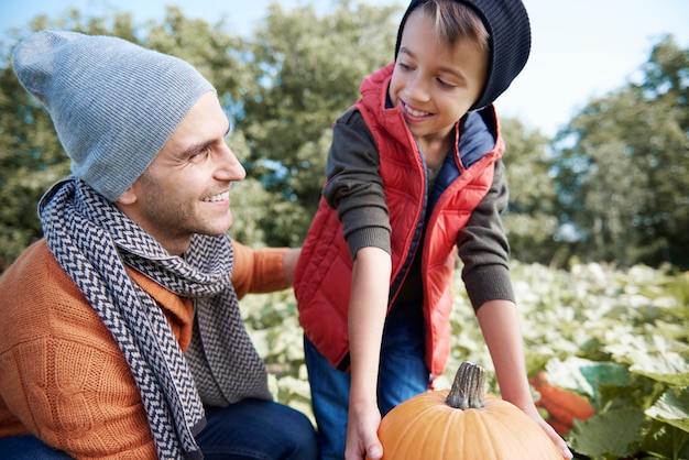 Choosing the perfect pumpkin for Halloween