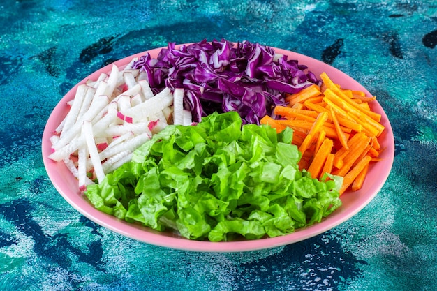 Chopped various vegetables in a plate 