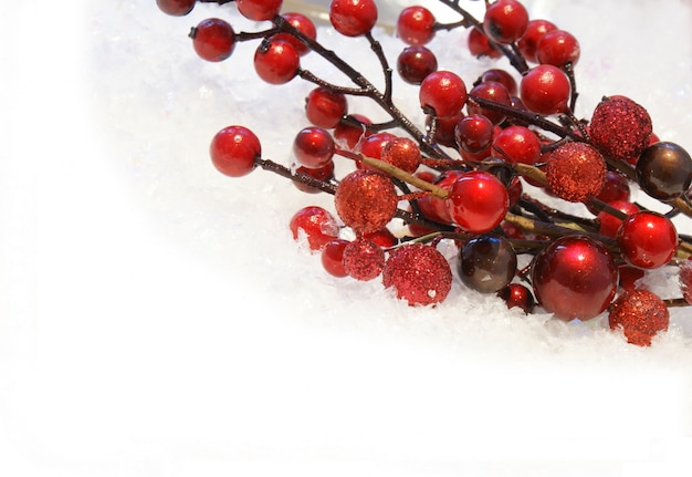 Christmas berries nestled in snow