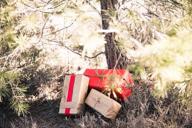 Free photo christmas boxes under tree