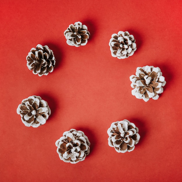 Christmas composition with pine cones forming circle