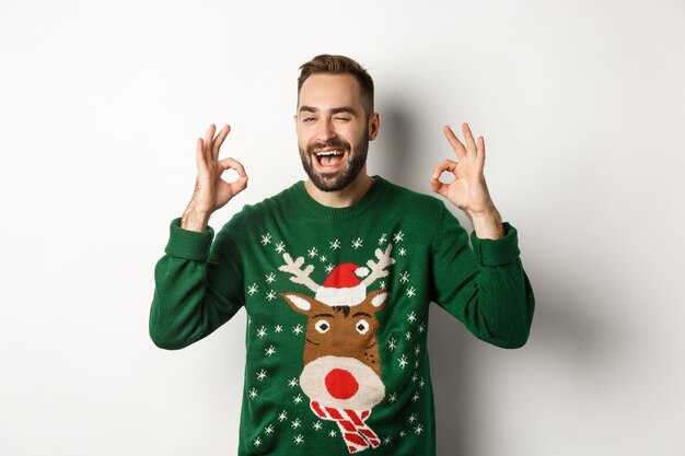 Christmas, holidays and celebration. Happy young man in green sweater, winking and showing okay signs, guarantee quality, recommending something, white background.