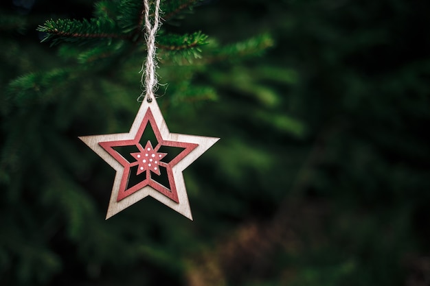 Free Photo christmas star hung on christmas tree