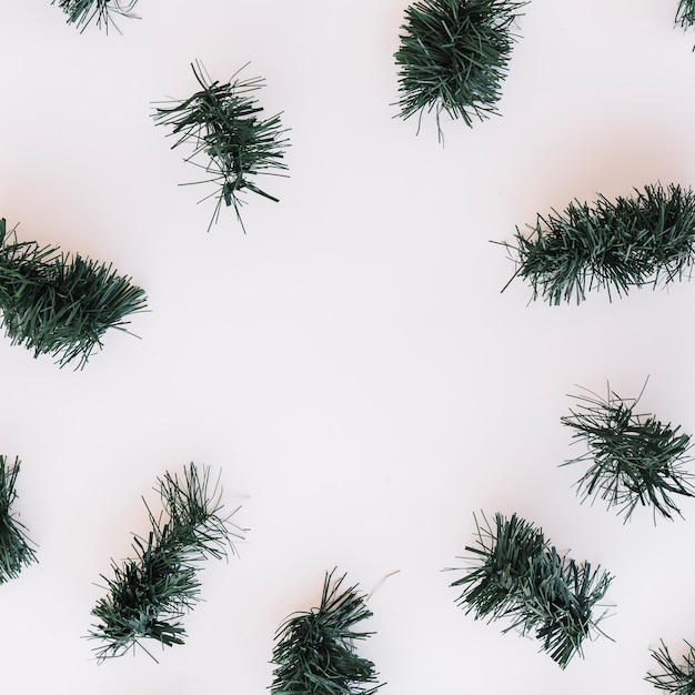 Christmas tree branches on table