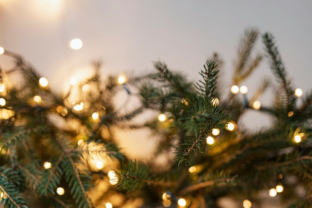 Free Photo christmas tree decorated by lights