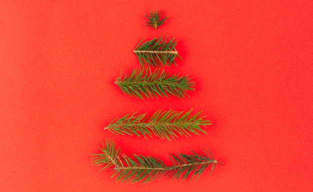 Free Photo christmas tree from green branches