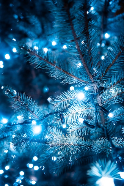 Free Photo christmas tree with cones on a city street illuminated with a garland.