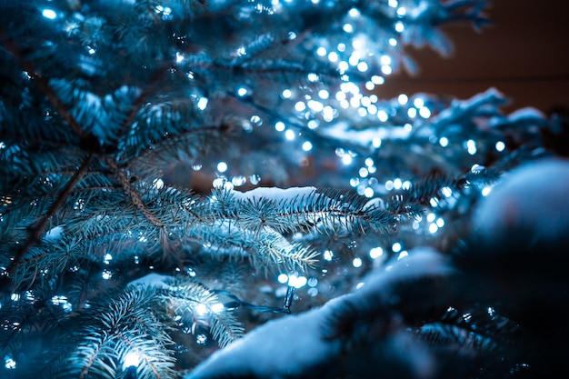 Christmas tree with cones on a city street illuminated with a garland.