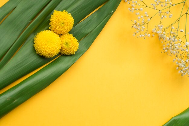 Chrysanthemum and common baby's-breath flowers on green leaves against yellow backdrop